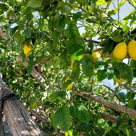 アパート Torre Di - House アマルフィ