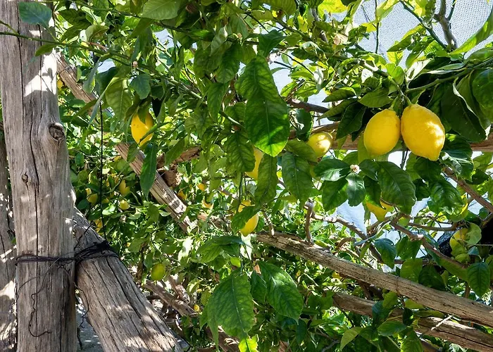 Lejlighed Torre Di - House Amalfi